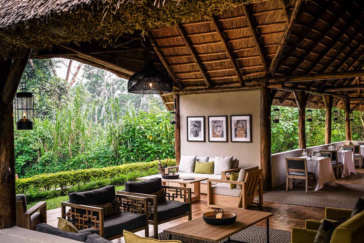 Bwindi Impenetrable Forest 4