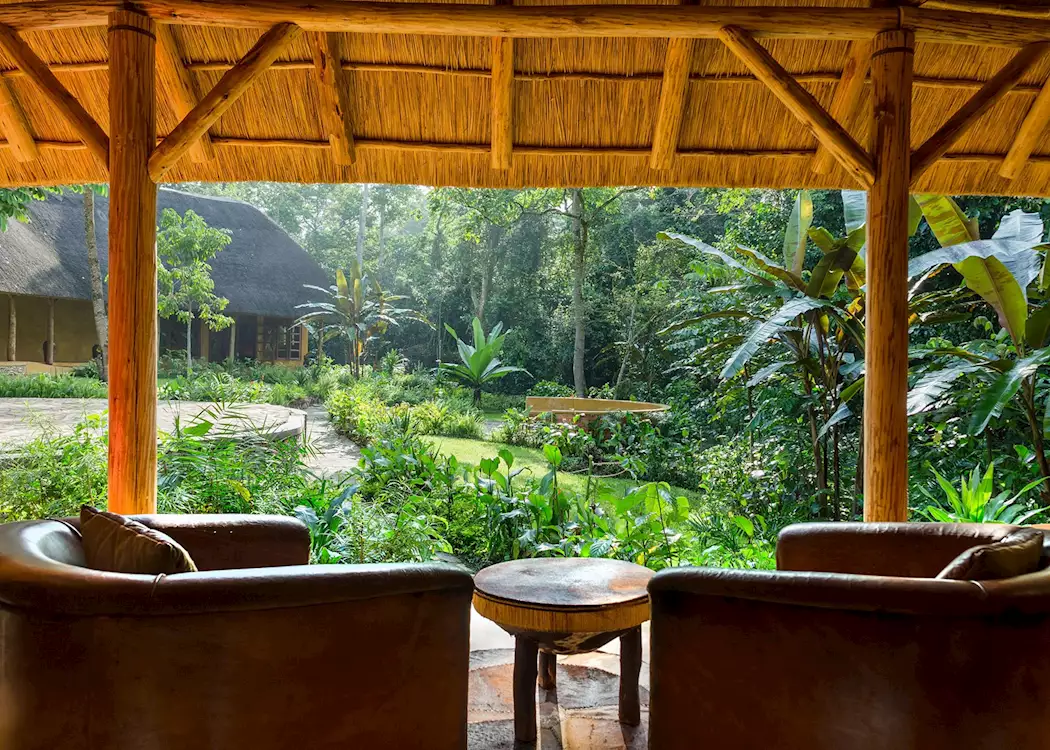 Kibale Forest 2