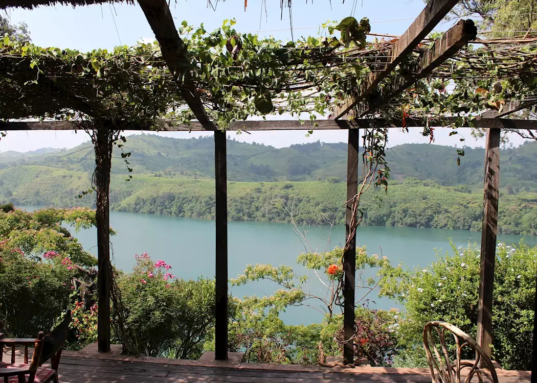 Kibale Forest 3