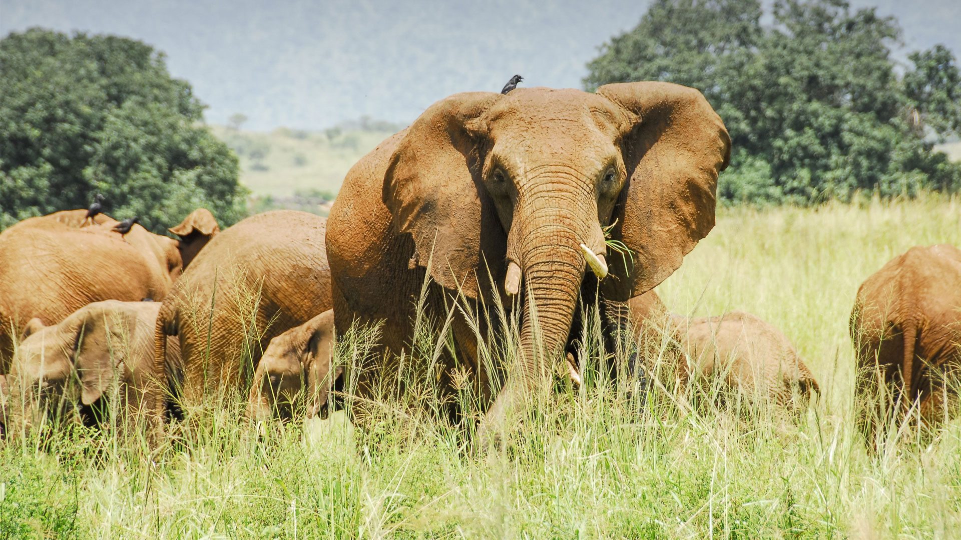 Kidepo Valley National Park 1