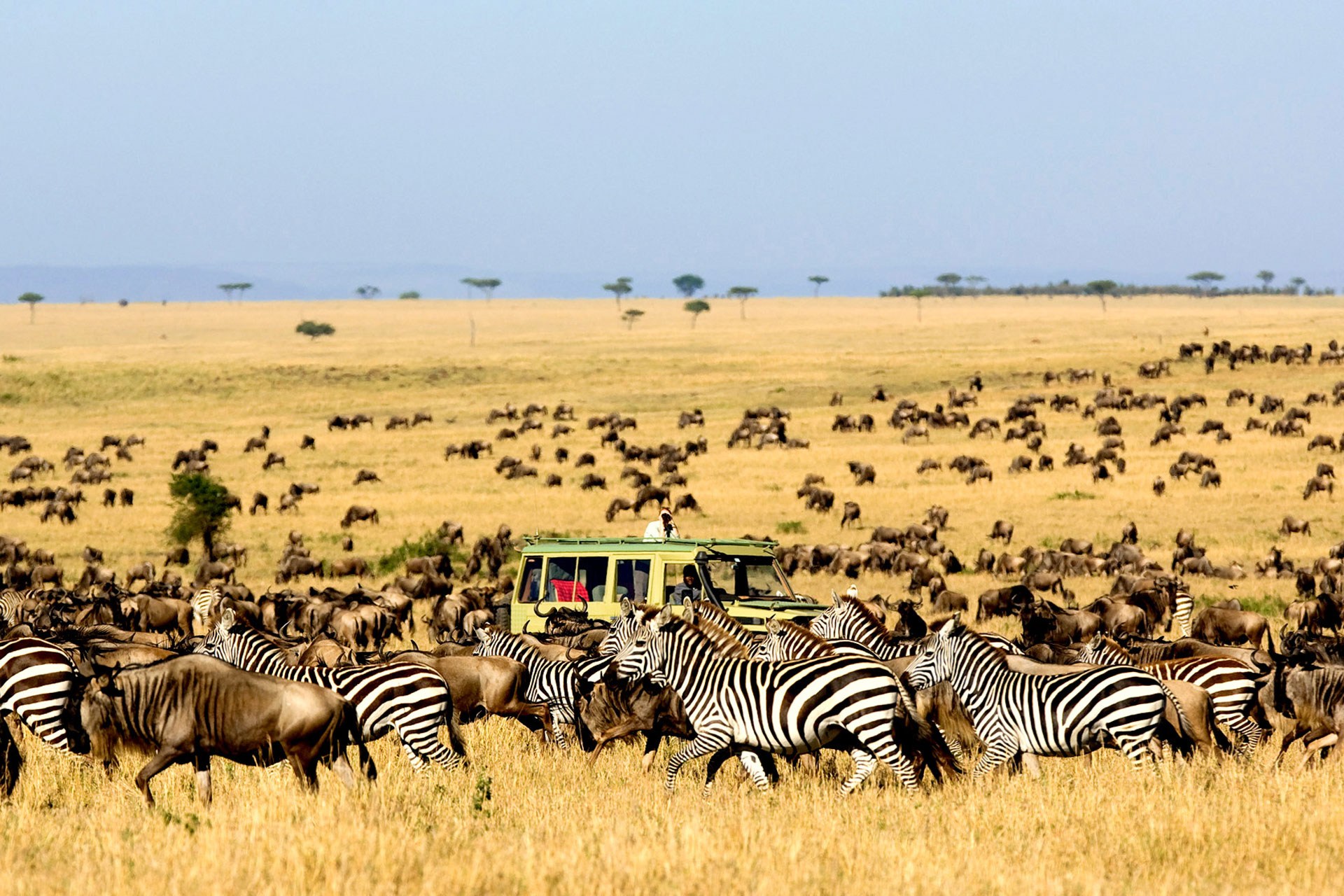 Kidepo Valley National Park 4