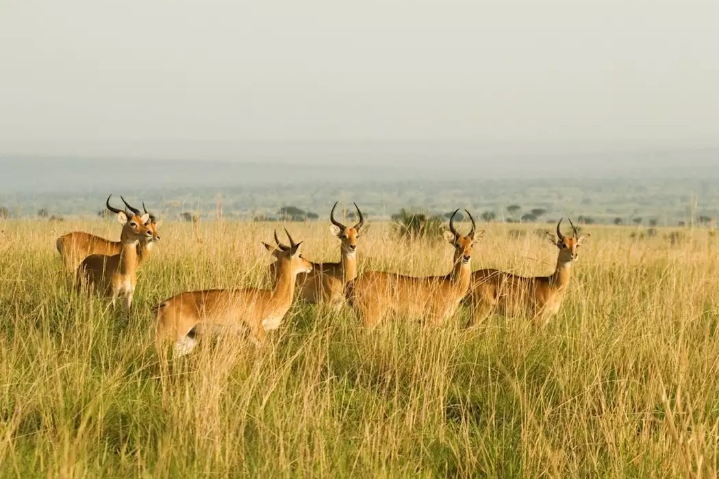 Tour Image