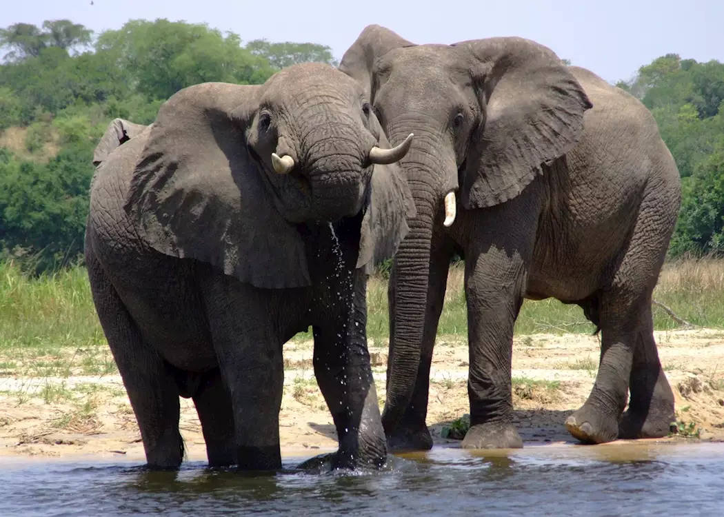 Murchison Falls 4