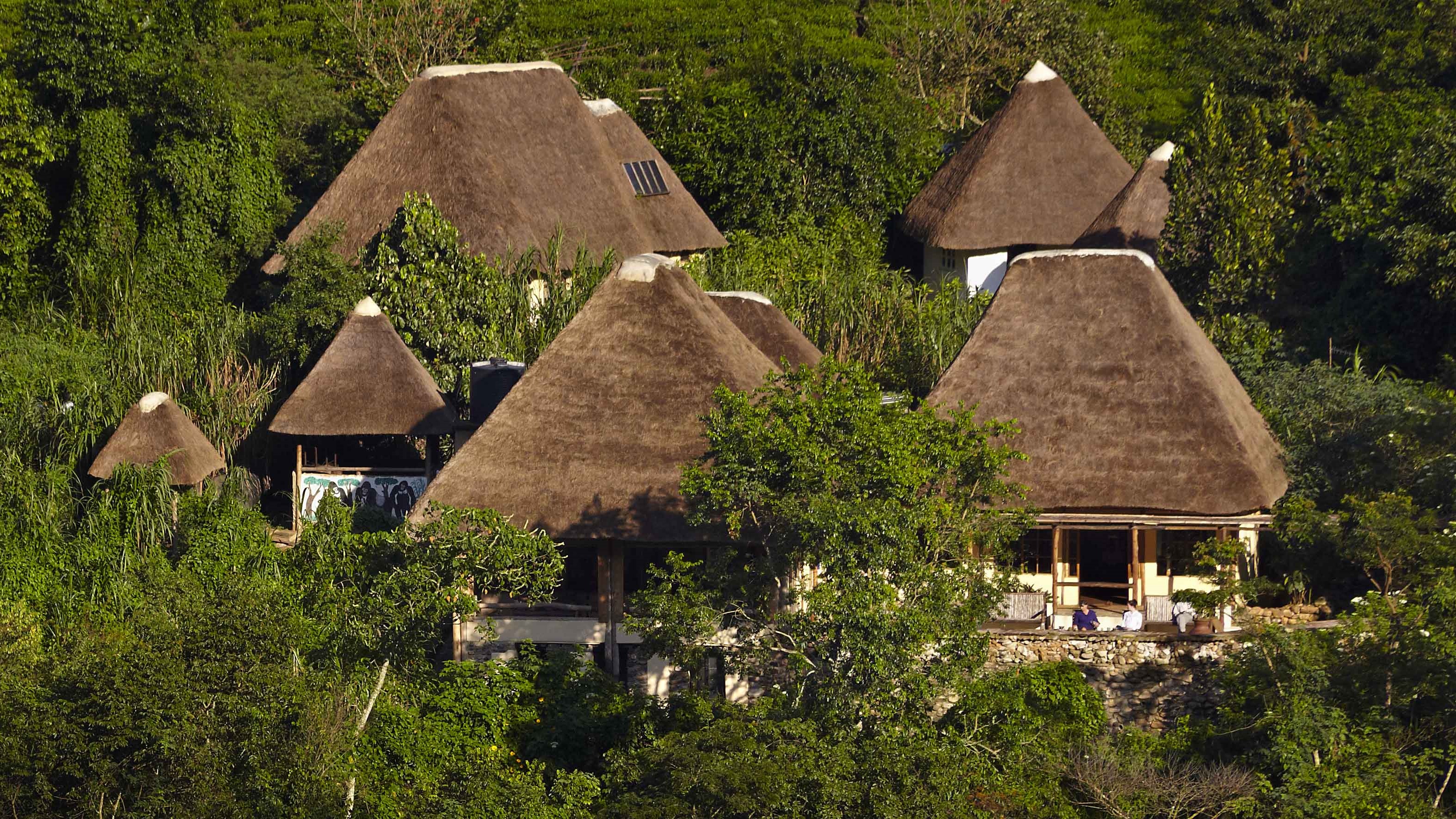 Bwindi Impenetrable Forest