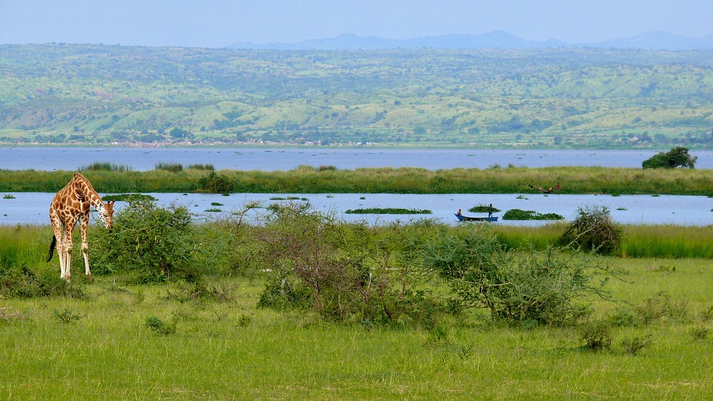 Murchison Falls Game Viewing