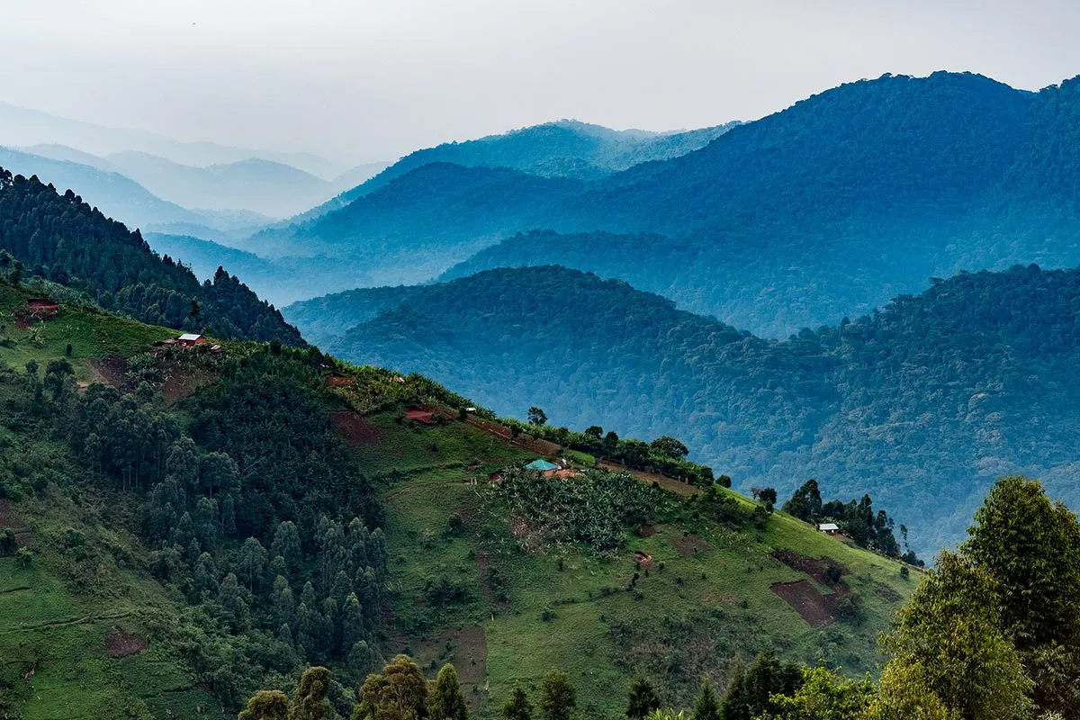 Bwindi Village Visit